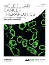 Inhibition of Tumor Cell Growth and Cancer Stem Cell Expansion by a Bispecific Antibody Targeting EGFR and HER3